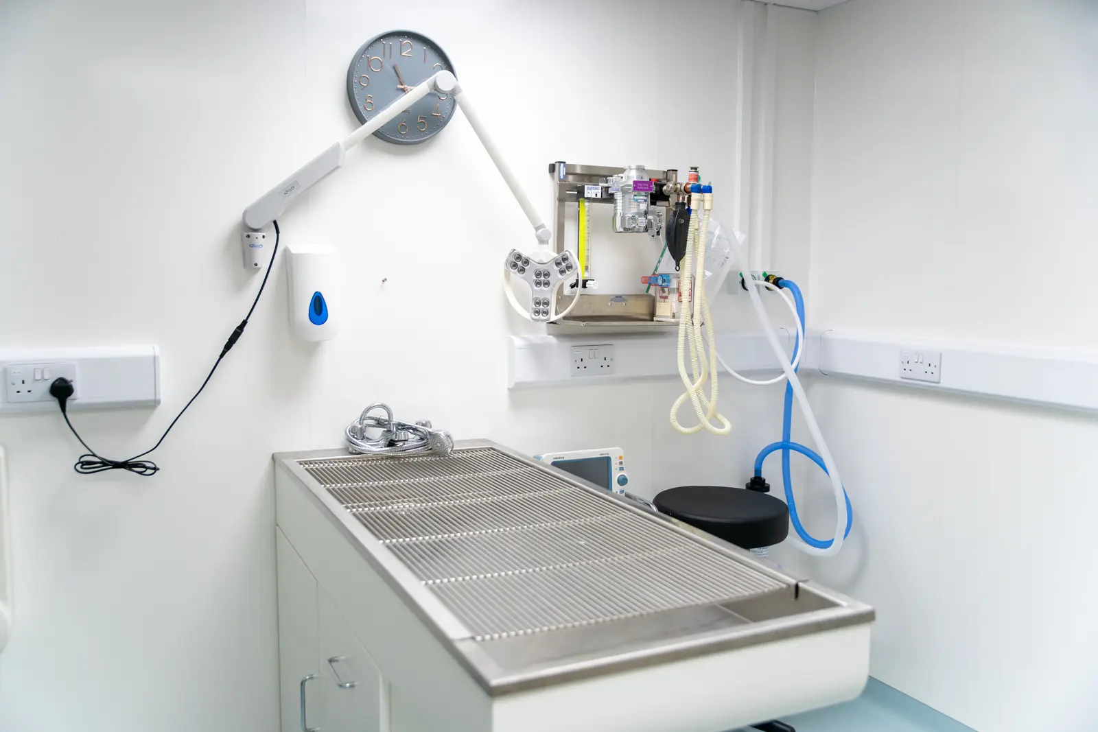 Northlands Veterinary Hospital (Web)-00317