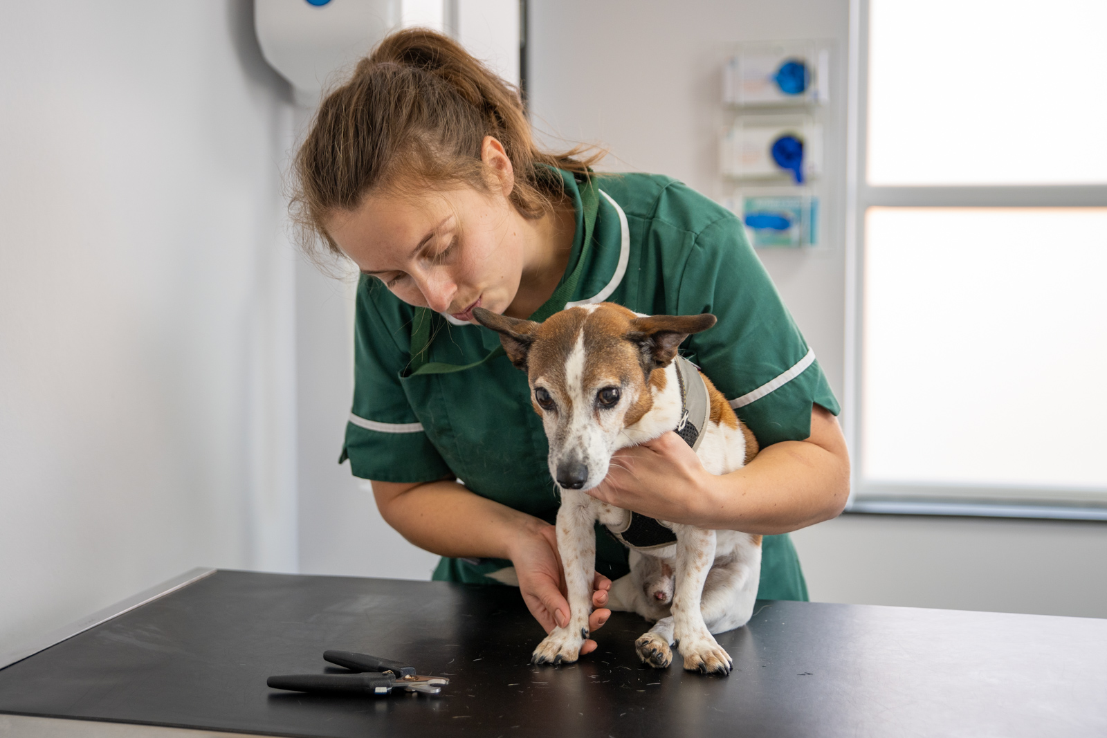 Northlands Veterinary Hospital (Web)-00206