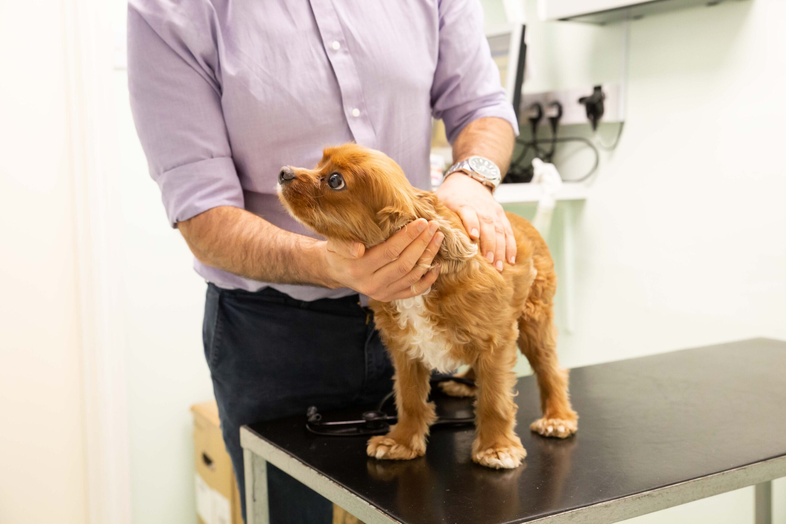 LASER THERAPY
